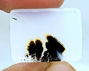 Ágata dendrítica, Cabujón de ágata dendrítica: Gema rectangular escénica (16 x 11 mm)