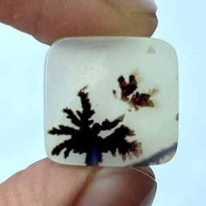 Dendritic agate,Scenic Dendritic Agate Cabochon: Tree Agate Gemstone (15x16 mm)