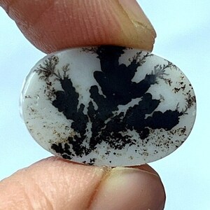 Rare!! Dendritic agate, Dendritic cabochon, tree agate , agate, Loose Gemstone Cabochon Dendritic Agate Oval 19x13 MM for making jewelry.