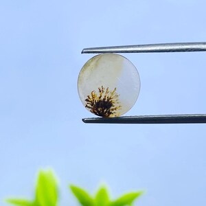 Scenic Agate!, Tree agate, Loose gemstone Cabochon Dendritic Agate round 10x10 mm for making jewelry. Dendritic Cabochon, Agate Cabochon.