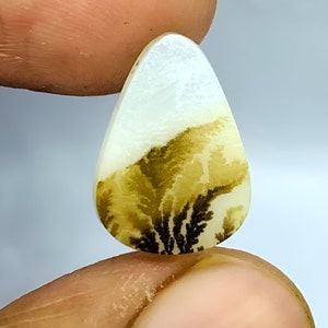 Tree agate!!, Agate cabochon, Dendritic,Loose Gemstone Cabochon Dendritic Agate Pear 16x11 mm for making jewelry pendent size