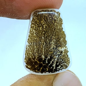 Dendritic Agate !!, Agate Cabochon, Dendritic ,Loose Dendrite Gemstone Cabochon Dendritic Agate Pear 19x14 MM for making jewelry.