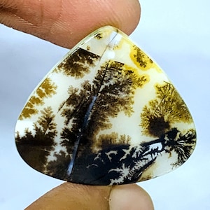 Agate!! Cabochon, Dendritic Cabochon, Loose Gemstone Cabochon Dendritic Agate Pear 25x28 mm for making jewelry