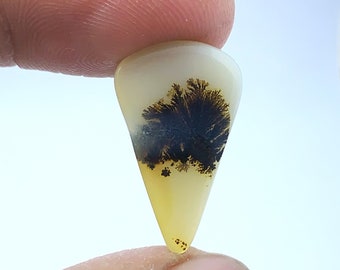 Scenic agate!! Dendritic agate !! Tree agate Dendritic quartz Dendritic agate Loose Gemstone Cabochon Dendritic Agate Pear size 22x13 mm .