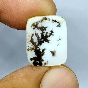 Dendritic agate,Dendritic Agate Cabochon: Scenic Tree Agate Gemstone (13x10 mm)