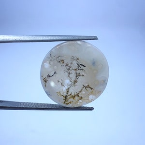 Scenic Tree Agate Cabochon: Round Dendritic Gemstone (17x17 mm)