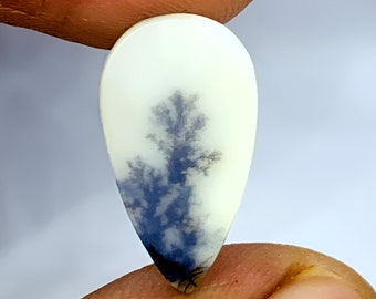 Rare!! Dendritic agate, Dendritic cabochon, tree agate ,Loose Gemstone Cabochon Dendritic Agate Pear 19x10 MM for making jewelry