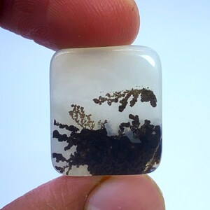 Scenic Agate!, Tree agate, Loose gemstone Cabochon Dendritic Agate Rectangle 21x18mm for making jewelry. Dendritic Cabochon, Agate Cabochon.