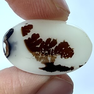 Dendritic agate,Dendritic Agate Cabochon: Oval Scenic Gemstone (21x13 mm)