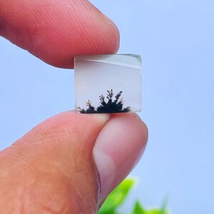 Scenic Agate!, Tree agate, Loose gemstone Cabochon Dendritic Agate ractangle 11x10 mm for making jewelry. Dendritic Cabochon,Agate Cabochon.