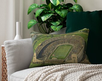 May include: A green and brown throw pillow with a vintage aerial photograph of a packed football stadium. The stadium is filled with people and has a green field with white lines.