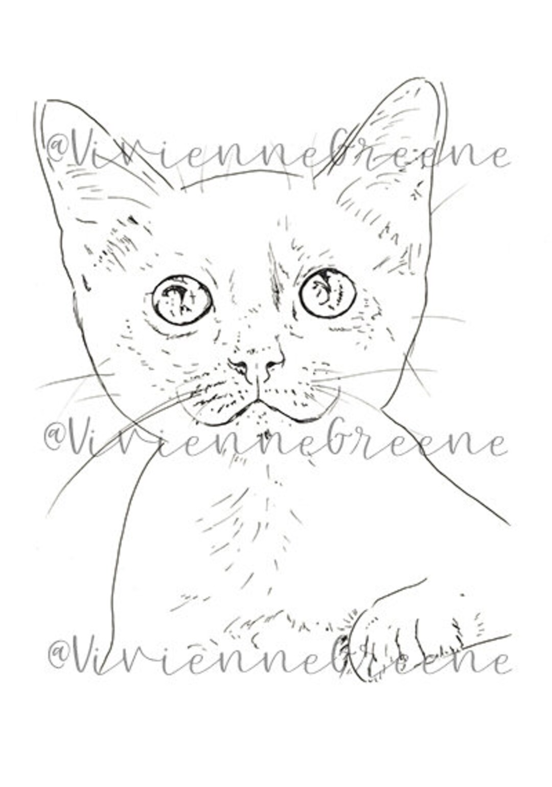 Ausmalbild süße Katze Pet Illustration Clipart - Etsy México