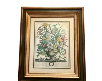 Vintage September Framed 12 Months Of Flowers Robert Furber