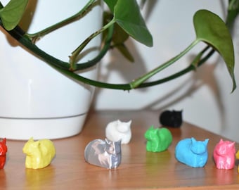 Cat to annoy everyone around you prank! Maxwell the meme!