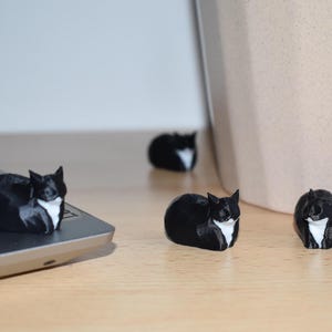 Maxwell cat plush - Etsy 日本