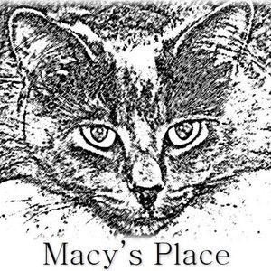 May include: Black and white sketch of a cat's face, with detailed eyes and fur texture. The text "Macy's Place" is written below the cat's face in a serif font.