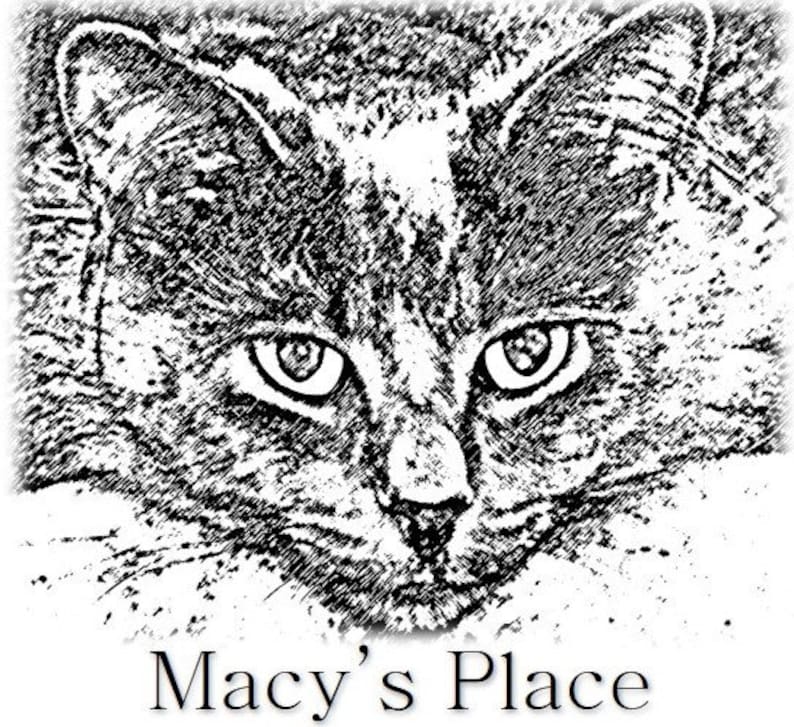 May include: Black and white sketch of a cat's face, with detailed eyes and fur texture. The text "Macy's Place" is written below the cat's face in a serif font.