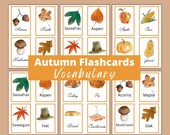 Autumn Vocabulary Flashcards, Cursive and Print, Homeschool, Preschool, Kindergarten, Early Elementary, Fall Flashcards, Thanksgiving art