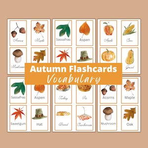Autumn Vocabulary Flashcards Cursive and Print Homeschool - Etsy