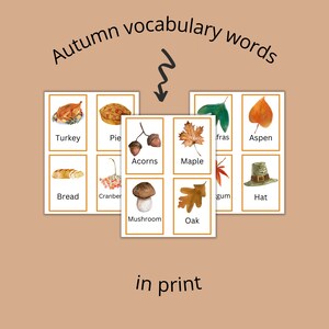 Autumn Vocabulary Flashcards Cursive and Print Homeschool - Etsy