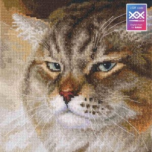 RTO counted cross stitch kit Cat Macho M995 SAGA / Animal/ Pet DIY Embroidery kit