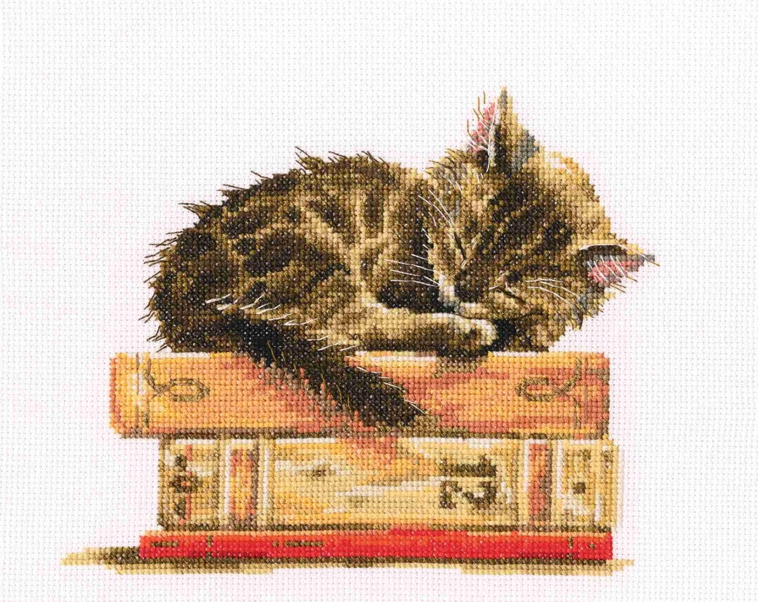 RTOカウントクロスステッチキット 眠っている猫：ペットの夢の刺繍