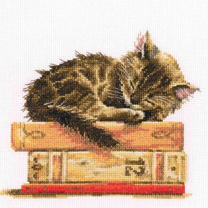 RTO counted cross stitch kit Cat sleeping on the books M642 / Cat&#39;s dream / Fluffy pet DIY Embroidery kit