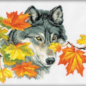 Könnte beinhalten: Ein grauer Wolf mit gelben Augen lugt hinter einem Haufen bunter Herbstblätter hervor. Die Blätter sind in Rot-, Orange- und Gelbtönen gehalten.