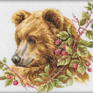 Puede incluir: Primer plano de la cara de un oso marrón con hojas verdes y bayas rojas en el fondo.