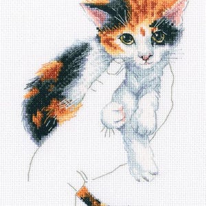 Puede incluir: Un gatito calico con pelaje naranja, negro y blanco se sienta con las patas metidas. El gatito tiene ojos verdes y una nariz blanca.