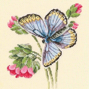 RTO counted cross stitch kit Butterfly on the flower M749 / Nature floral DIY Embroidery kit