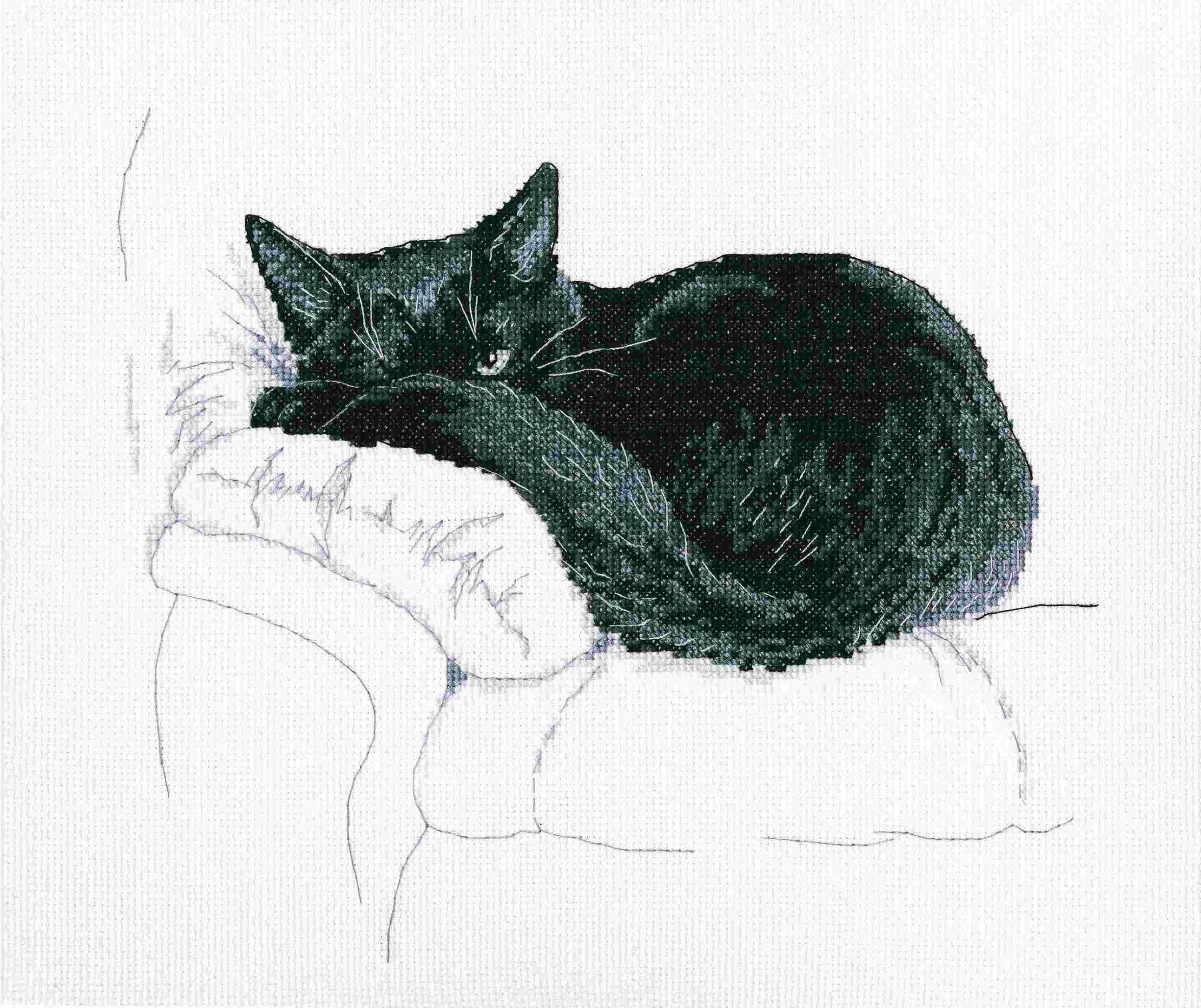 RTO counted cross stitch kit Among black cats M668 / Mystery / Animals pets DIY Embroidery kit