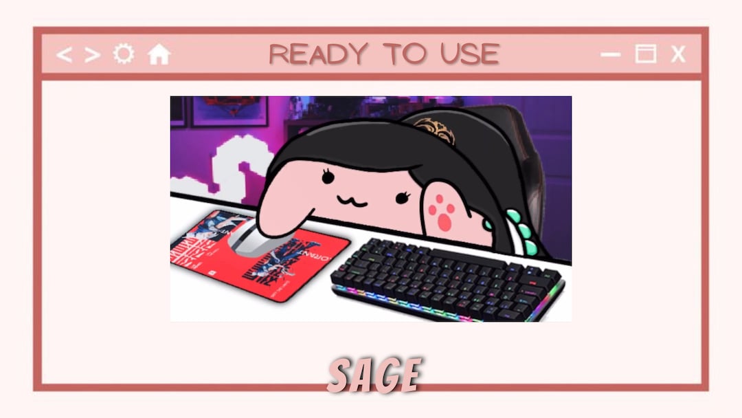 3 Valorant Bongo Cats Sage,killjoy,raze Virtual Camera for Twitch