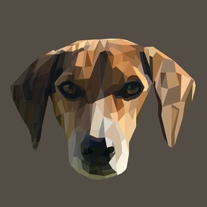 Digital Polygon Art Pet Face
