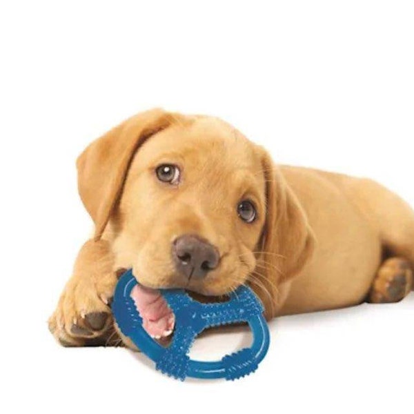 Chew toy, toy,dog chew toy,tug dog toy,doy,dog toys aggressive chewers