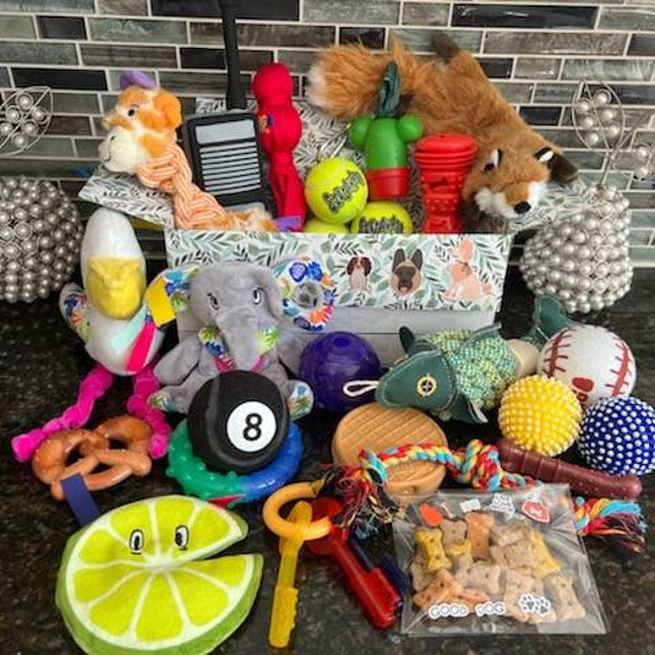 Dog Toy Box - Etsy