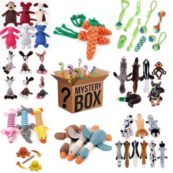 Mystery Box Dog Toys Etsy