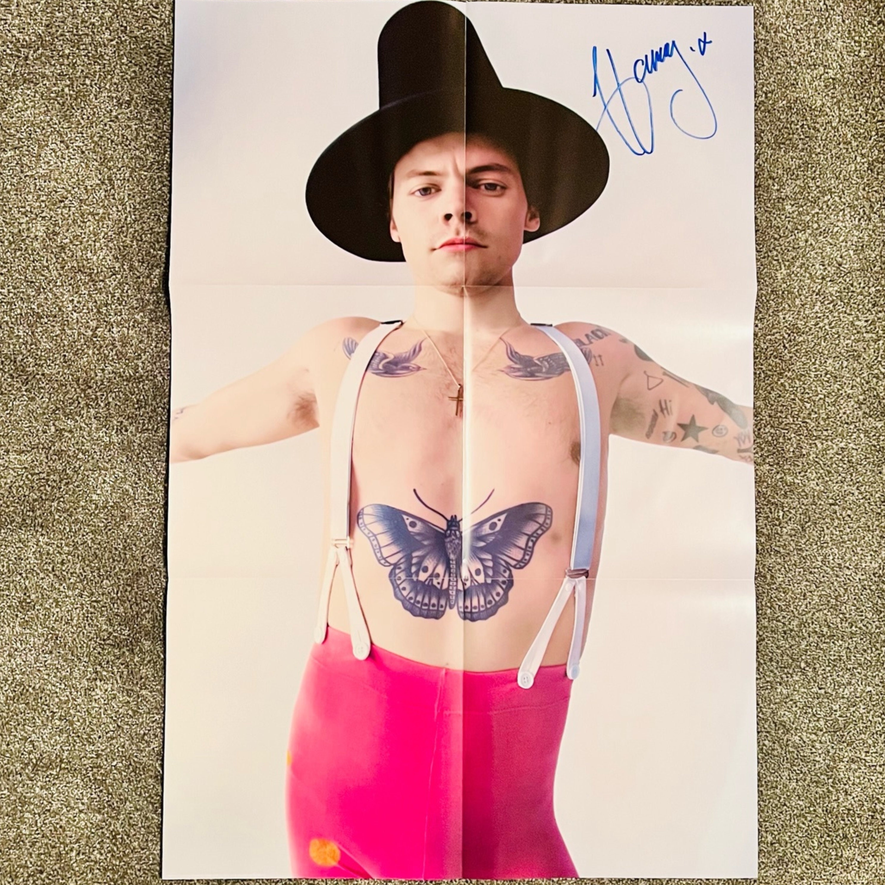Harry Styles Fine Line Vinyl Record Poster Autographed - Etsy 日本