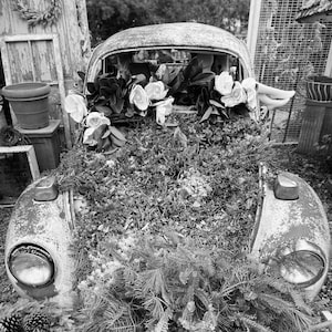 Flower Car Bed