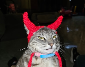 May include: A gray tabby cat wearing a red crocheted devil horn hat with matching braided ties. The cat has a pink and blue collar. The background is a living room setting with a television.
