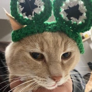 Kikker kat hoed