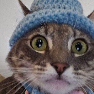 Cat Bucket Hat