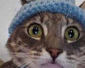 Katze Fischerhut