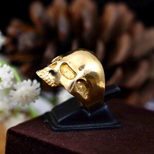 May include: A gold skull ring on a black ring display stand. The ring is a detailed skull design with a smooth, polished finish.