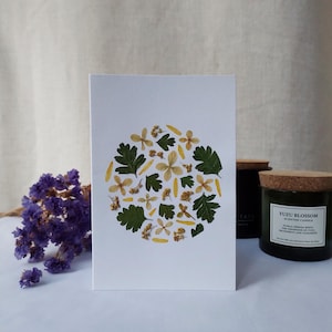 VRAIES fleurs pressées, carte de voeux et enveloppe 10 x 15 cm, herbier, fait main