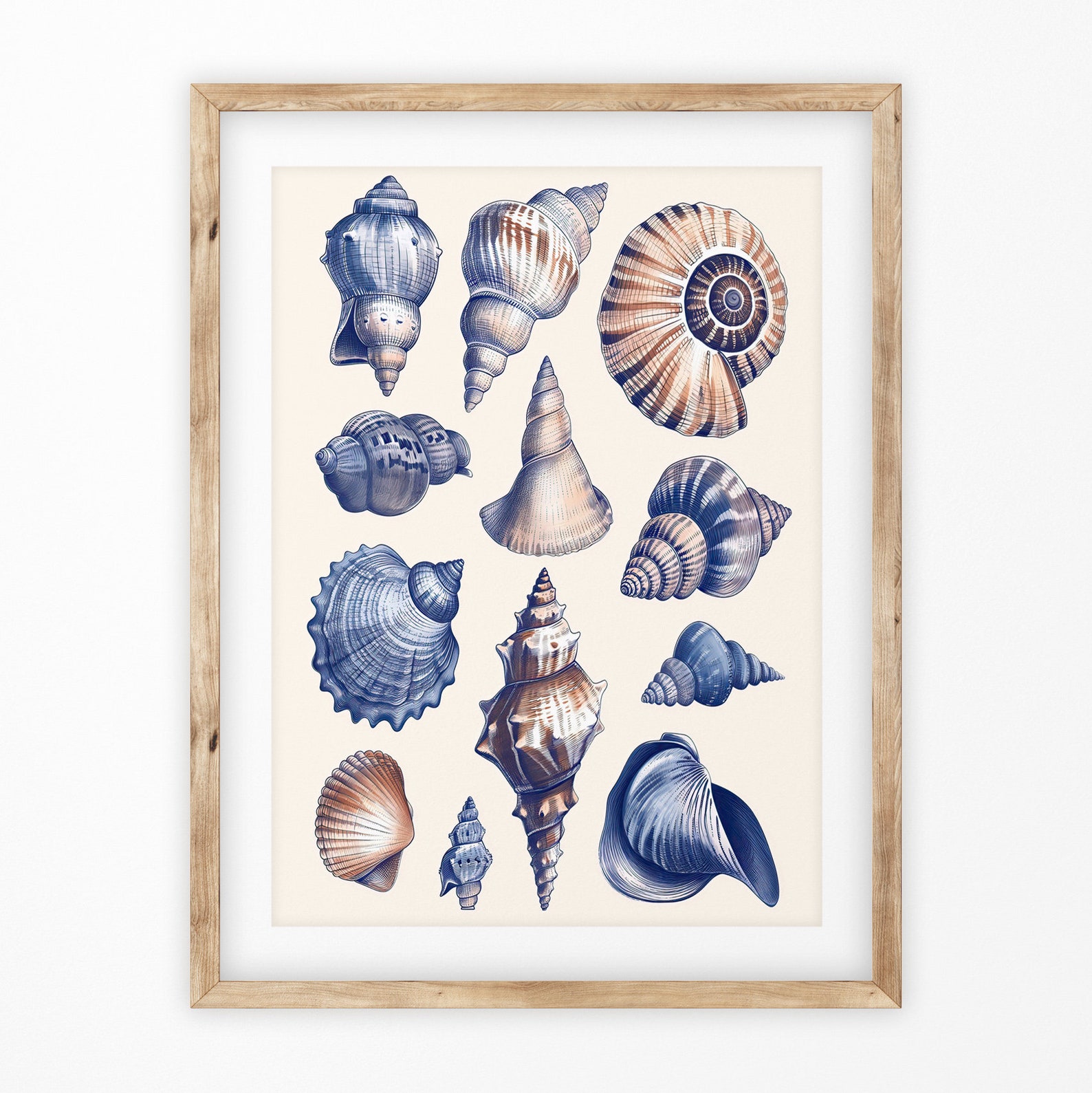 Printable Beach Home Decor, Shells Illustration, Marine Life, Coastal ...