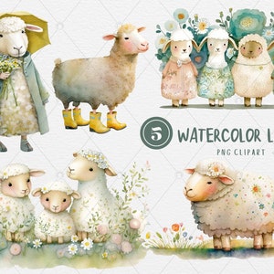 Acquerello primavera Pasqua carino agnello pecora Clipart, illustrazione digitale primavera pasqua agnello pecora, download immediato PNG