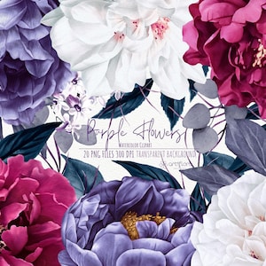 Aquarell Blumen Clipart, Pfingstrosen Rose Clipart, rosa lila weiß Blumen, Hochzeit Clipart, Dekorative Elemente zum direkten Download PNG