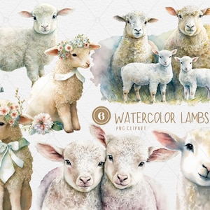 Acquerello Primavera Pasqua Cute Lamb Sheep Clipart, illustrazione di Pasqua primaverile, pecora di agnello digitale, download immediato PNG