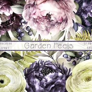 Aquarell Blumen Clipart, Dunkel Violet Pflaume Pfingstrosen Grün Ranunculus Clipart, Hochzeitseinladungen, kostenlose kommerzielle Nutzung, Instant Download